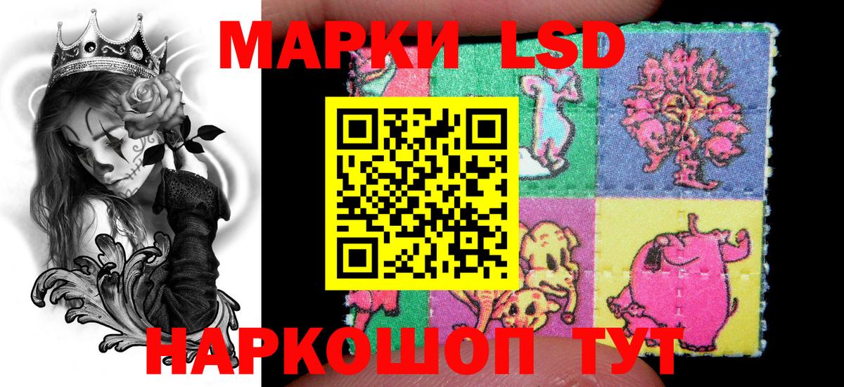 Наркотические марки 1,8мг  Наркотические марки 1,8мг  Канаш  Вход с VPN 